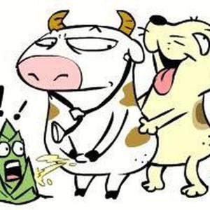 重生-牛醫生與狗護士
