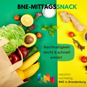 BNE-Mittagssnack - Nachhaltigkeit leicht und schnell erklärt