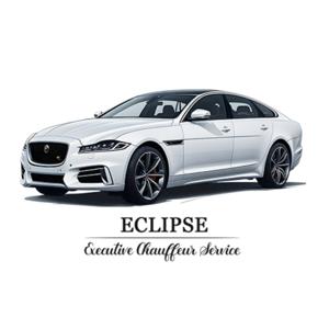 Driven to Success: The Executive Chauffeur service Podcast