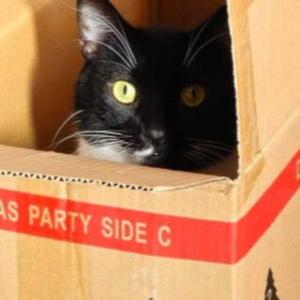 Party Side C