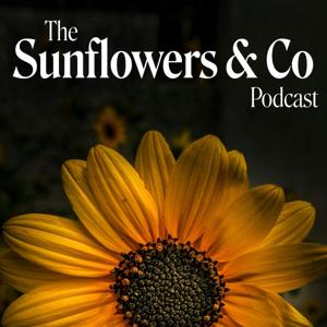 Sunflowers and Co