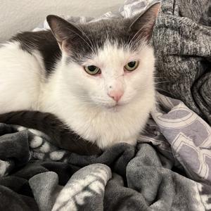 Ongoing Conversation