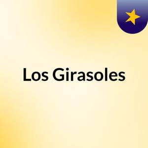 Los Girasoles