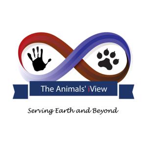 The Animals' iView with Lizanne Flynn