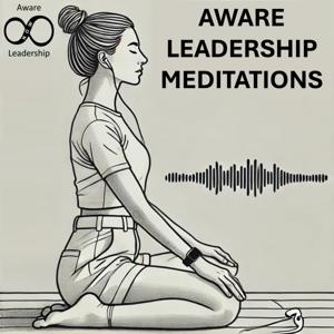 Aware Leadership Meditations