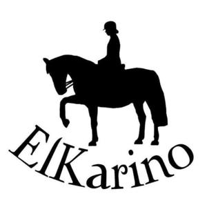 Elkarino