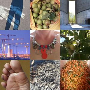 Metsästäjä-keräilijät