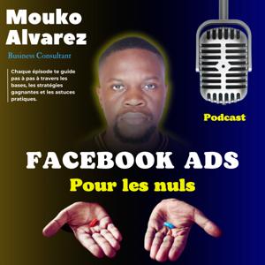 Facebook Ads Pour le Nuls