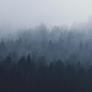 THROUGH THE FOG, addictions