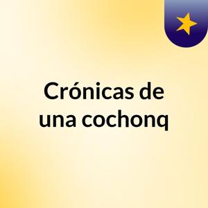 Crónicas de una cochonq