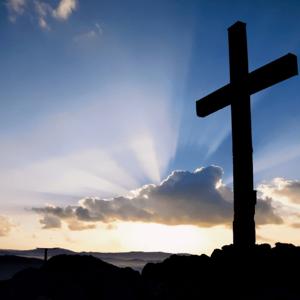 Thou Shall Not Abuse