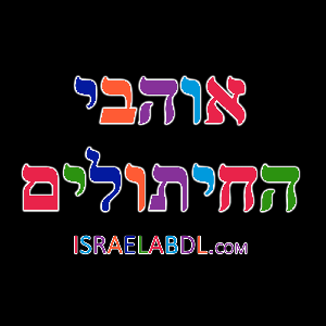 אוהבי החיתולים פודקסט לימודי