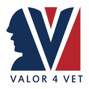 Valor 4 Vet