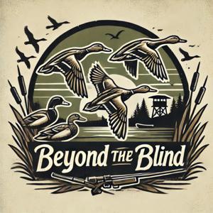Beyond the Blind