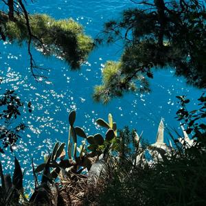 NEWS ON SUSTAINABILITY