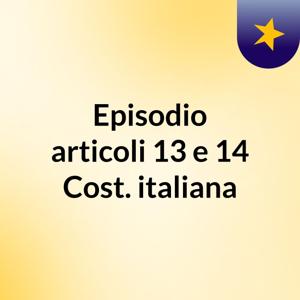 Episodio articoli 13 e 14 Cost. italiana