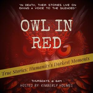 Owl In Red