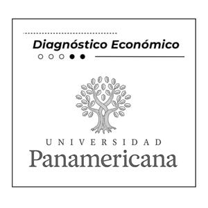 Diagnóstico Económico