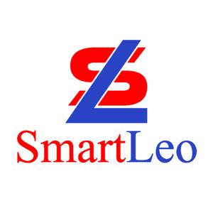 The Smart Leo Logic