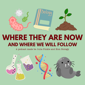 Where They Are Now And Where We Will Follow