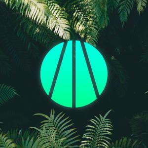 The Art of Figuring It Out with Feather