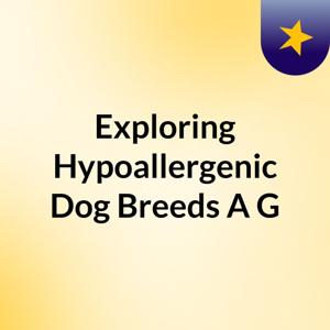 Exploring Hypoallergenic Dog Breeds: A G