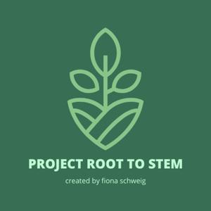 Project Root to STEM