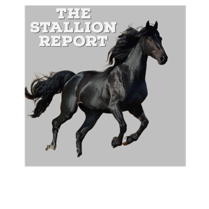 Stallion Report  - Episode One