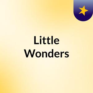 Little Wonders