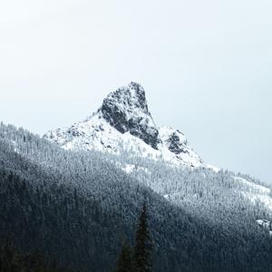 Il confine della parola