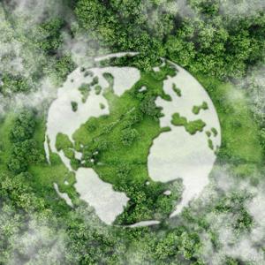 Deanna's Dialogues: Navigating Carbon Sustainability