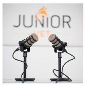 Junior vet Podcast