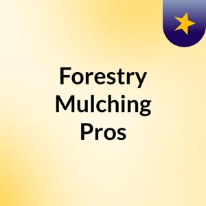Forestry Mulching Pros