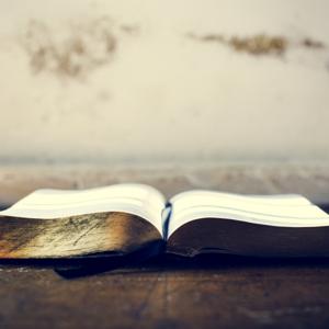 The Bible Live - Readings Podcast