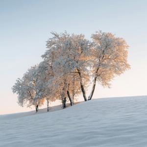 Poesia e adesso… vado via