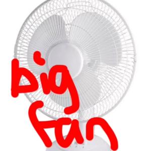 big fan the podcast