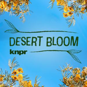 Desert Bloom