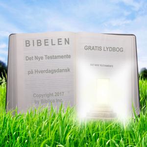 Bibelen som lydbog (Dramatiseret oplæsning) - Det Nye Testamente på Hverdagsdansk