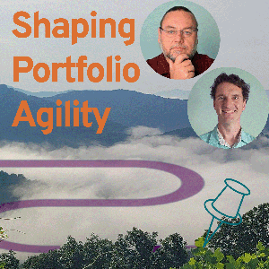 Shaping Portfolio Agility