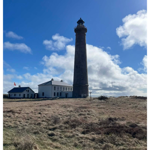 Immigration and Regional Growth: The Untapped Potential of Danish Towns and Villages