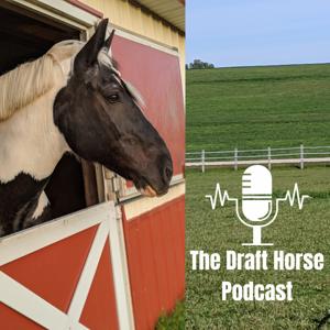 The Draft Horse Podcast