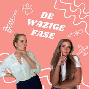 De wazige fase