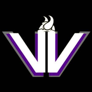 Vikez Vibez
