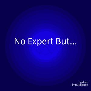 No Expert But