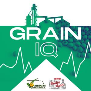 Grain IQ