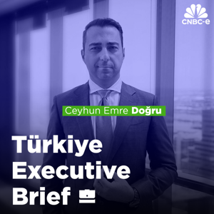 Türkiye Executive Brief