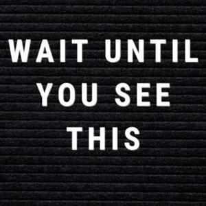 Wait Until You See This