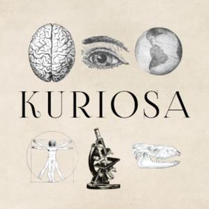 Kuriosa