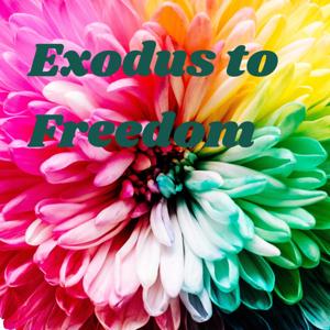 Exodus to Freedom