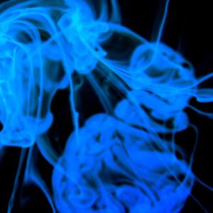 Indie Author Interviews